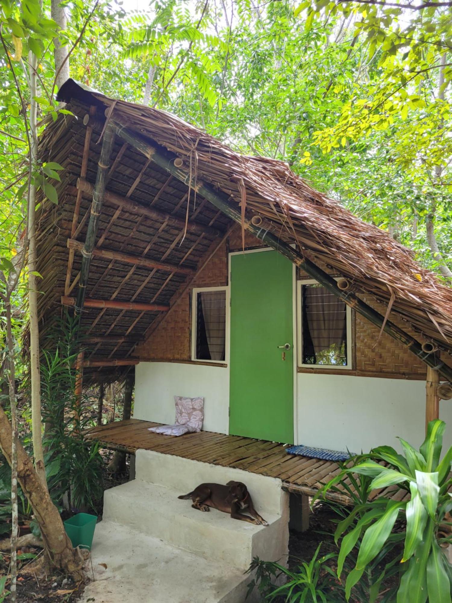 Lazy Lizard Hostel Siquijor Szoba fotó
